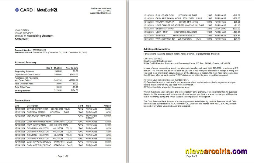 USA Meta Bank card statement Word and PDF example, 2 pages